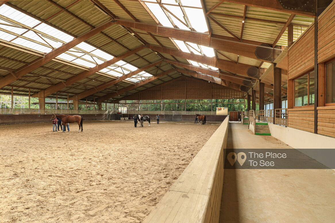 Manège à chevaux