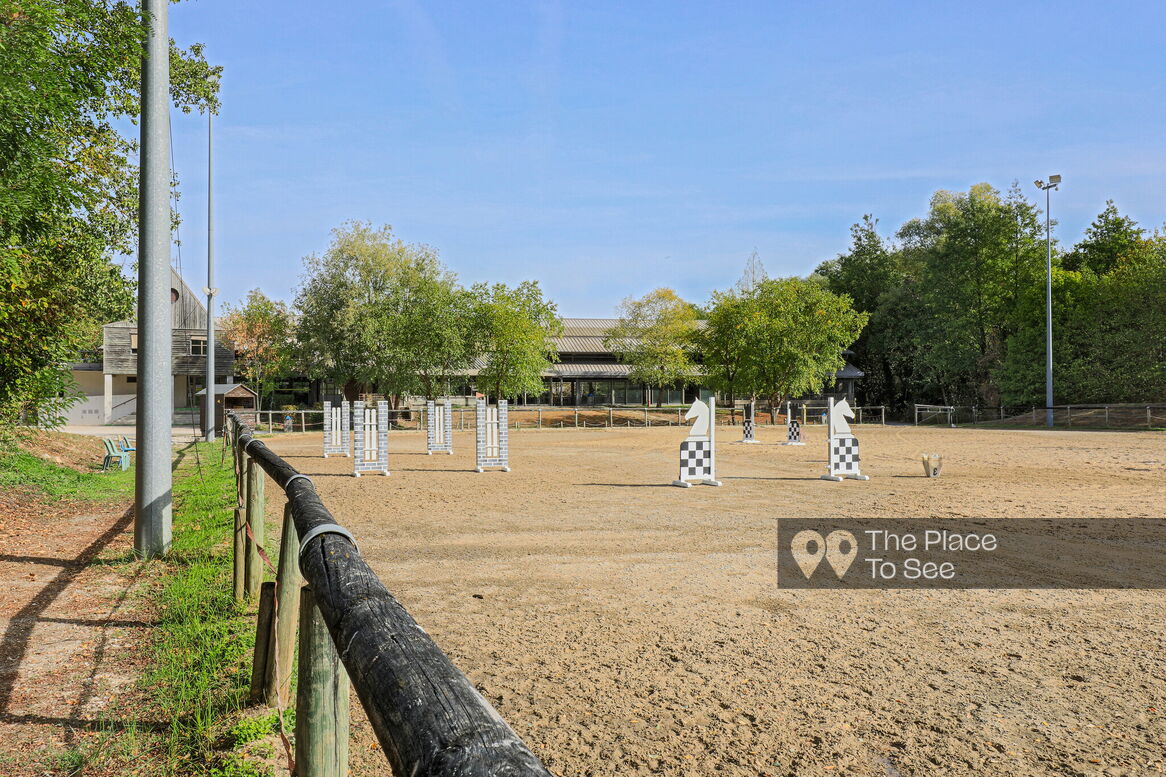 Manège à chevaux