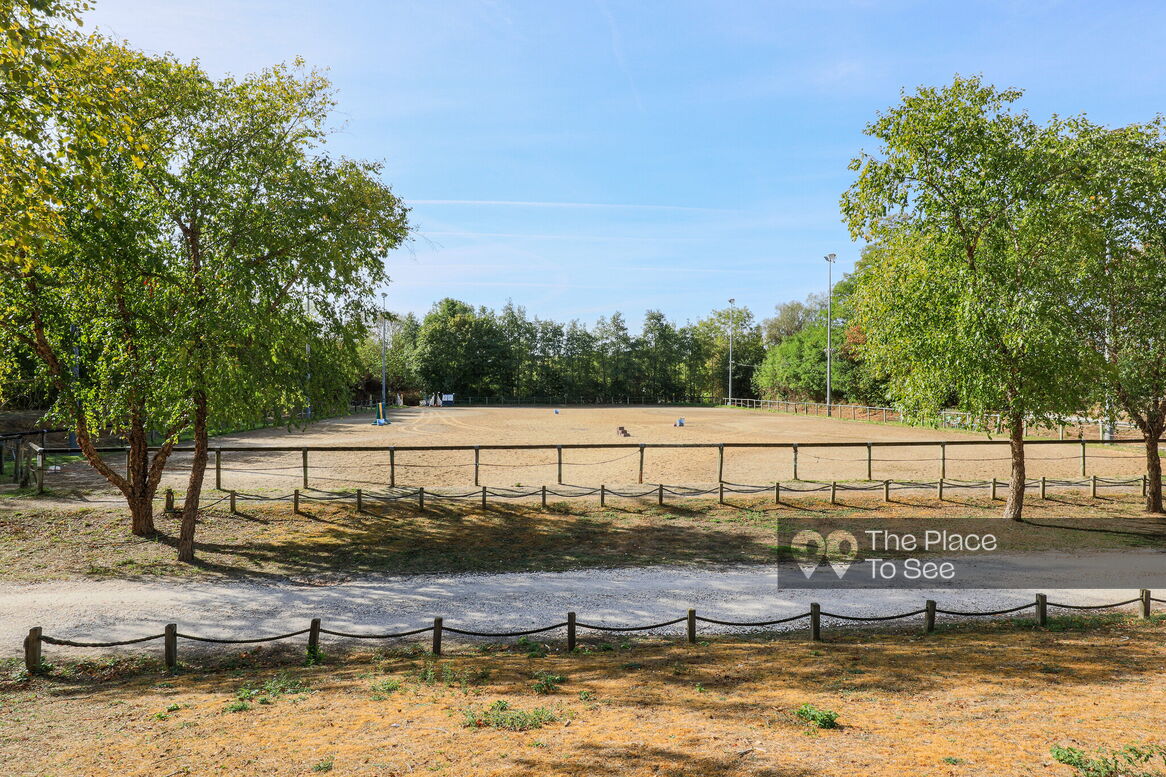 Manège à chevaux