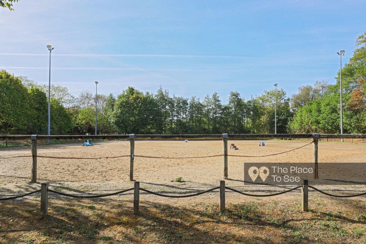 Manège à chevaux