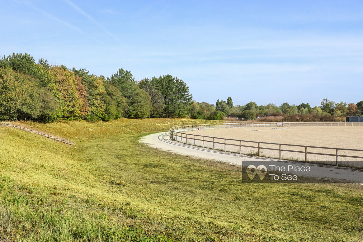Manège à chevaux