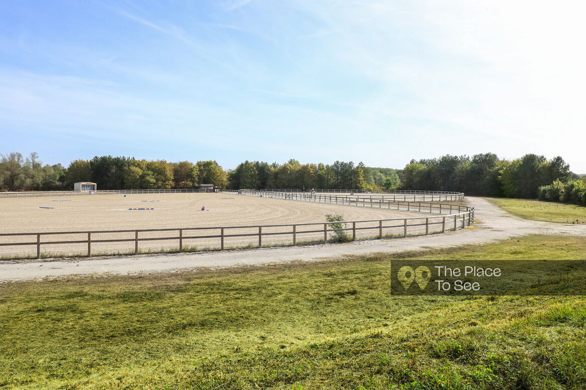 Manège à chevaux