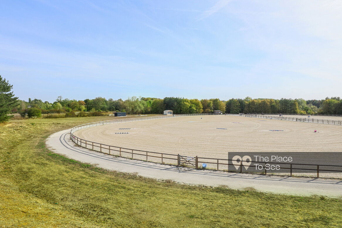 Manège à chevaux