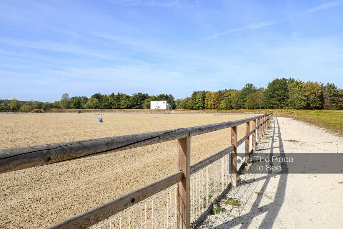 Manège à chevaux