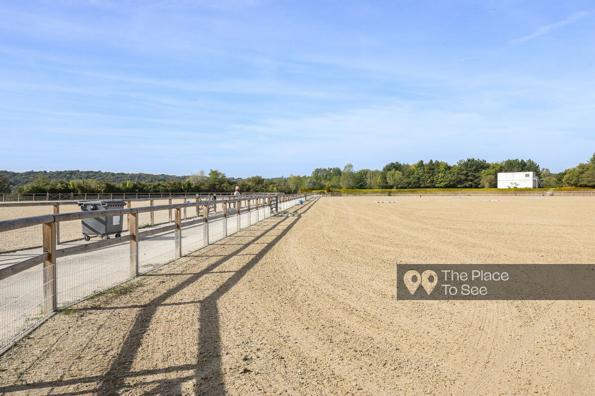 Manège à chevaux