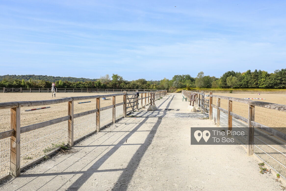 Manège à chevaux