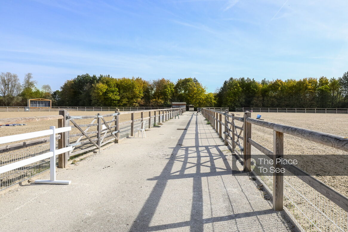 Manège à chevaux