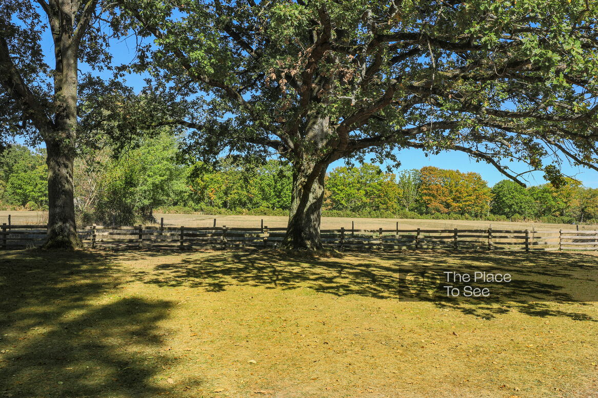 Arbre