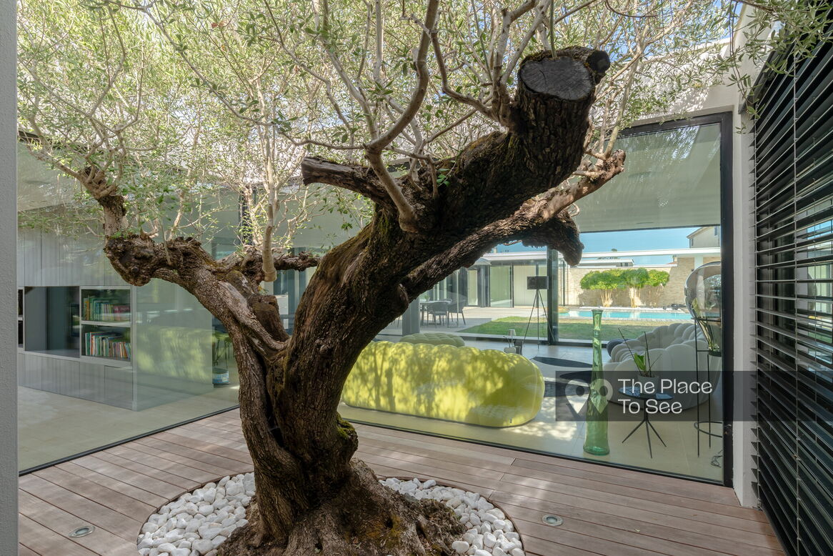 Jardin d'hiver/Patio