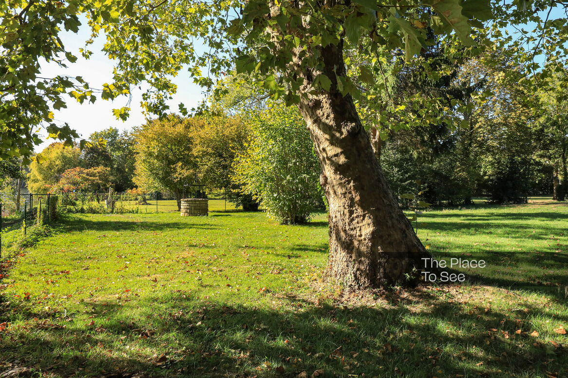 Jardin