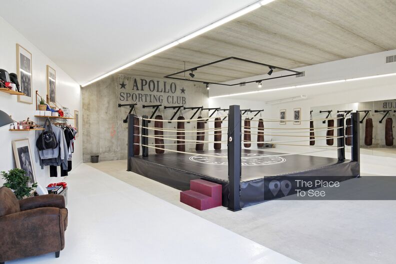boxing gym with a boxing ring and punching bags