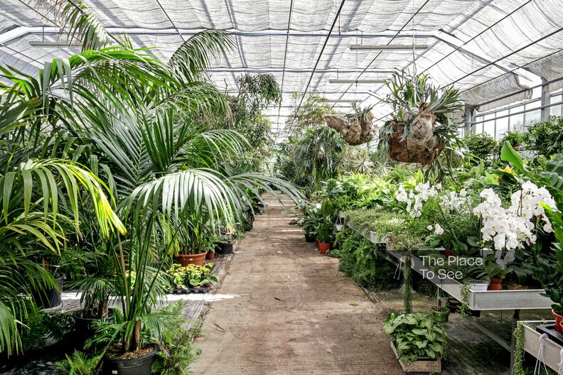 Large tropical greenhouses
