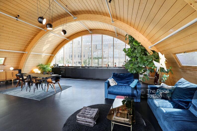 Wooden dome and Paris view rooftop