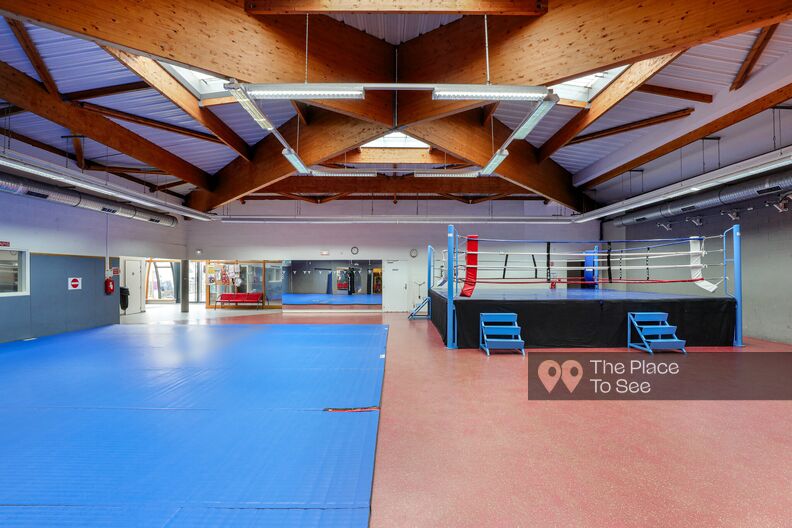 Boxing room with locker rooms and ring