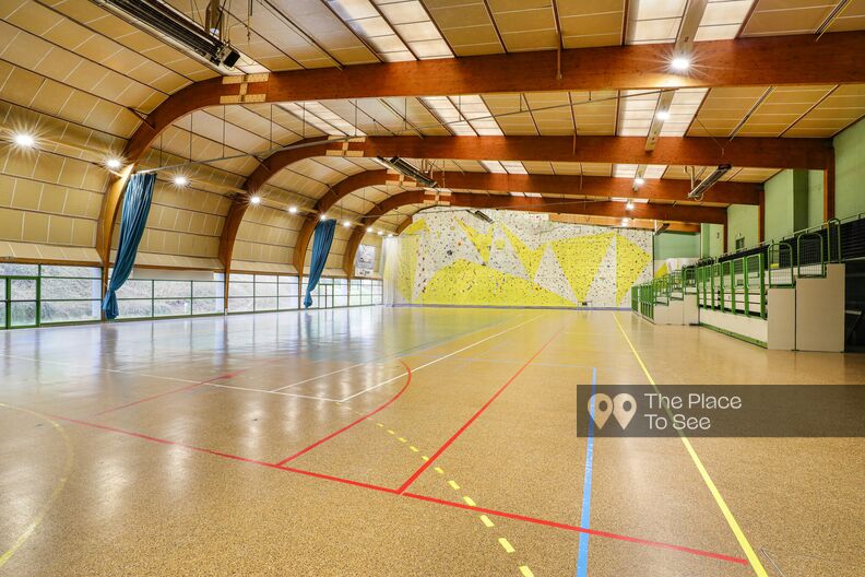 Sports complex with gymnasium, climbing wall and wrestling room