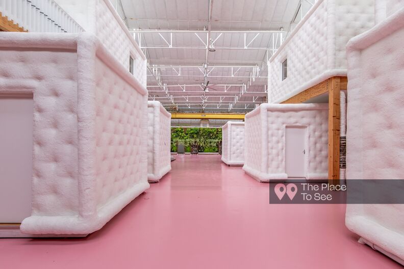 Pink industrial space with green wall
