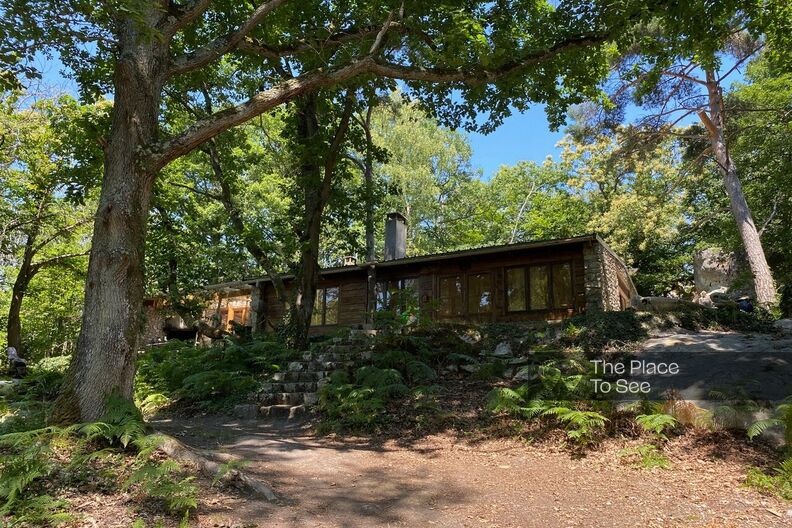 Zen wooden cabin in the middle of the forest