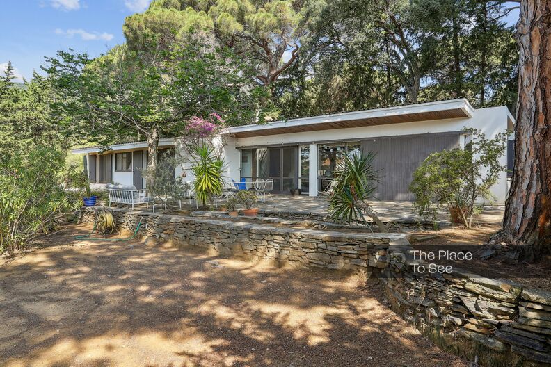 Vintage 1950s villa with succulent garden
