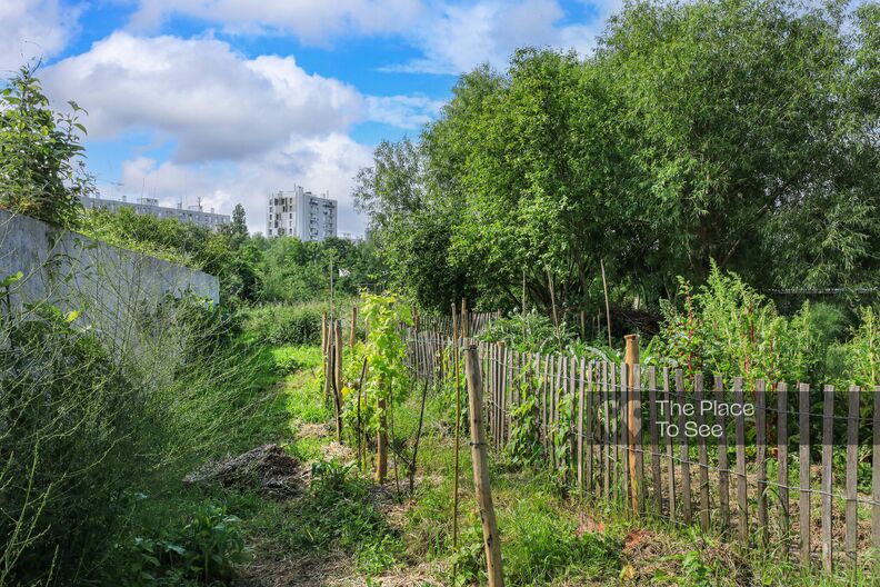 Green wasteland with view of HLM building