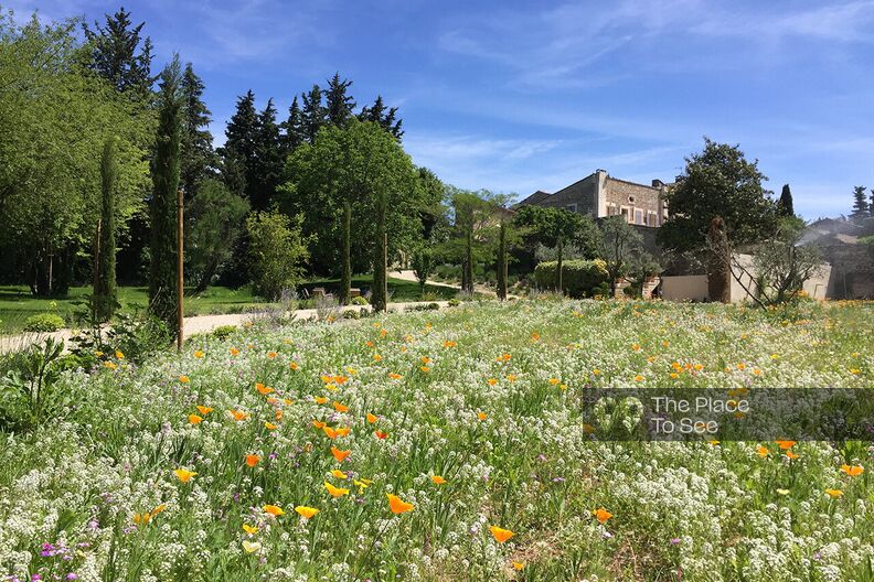Domaine provencal chic et chaleureux