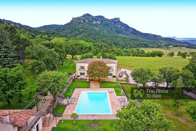 Charming Provencal wine estate in Provence