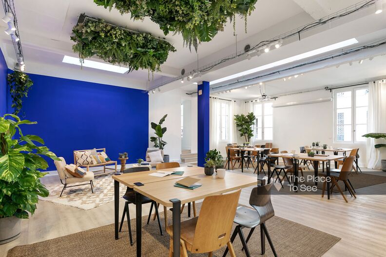 Reception areas with their green courtyard