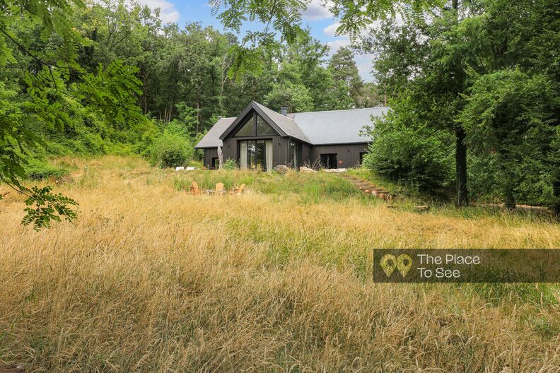 Elegantly decorated isolated wooden house surrounded by woods