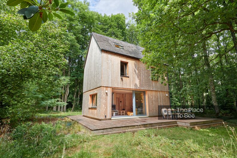 Maison tout en bois au milieu de la forêt