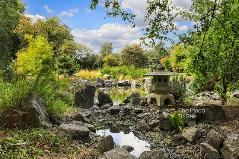 Beautiful Japanese garden