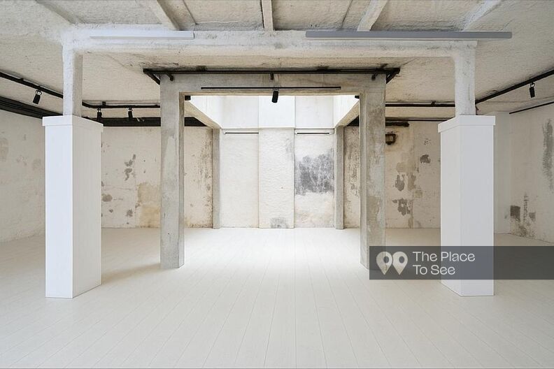 Espace industriel et lumineux sur 2 niveaux avec patio